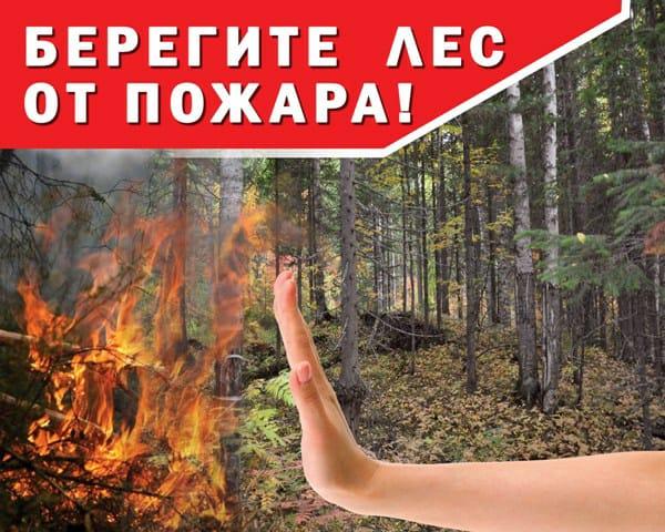 ПАМЯТКА по предупреждению пожаров от детской шалости с огнем