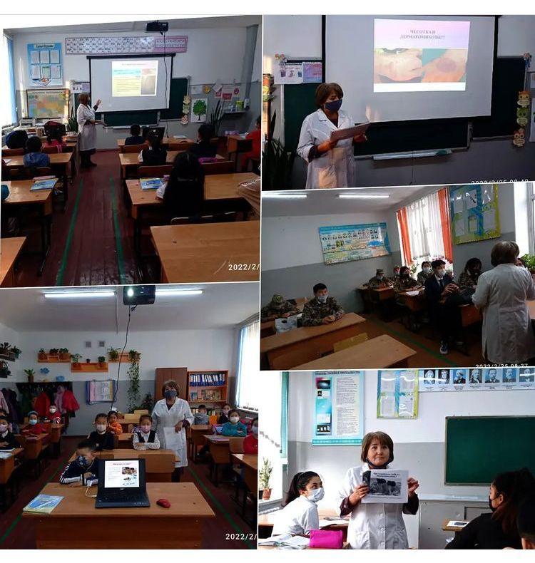 Мектеп мейірбекесінің жұмысы