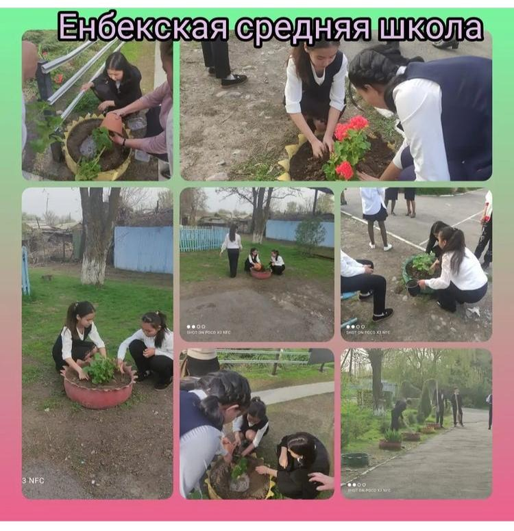 Высаживание цветов на территории школы